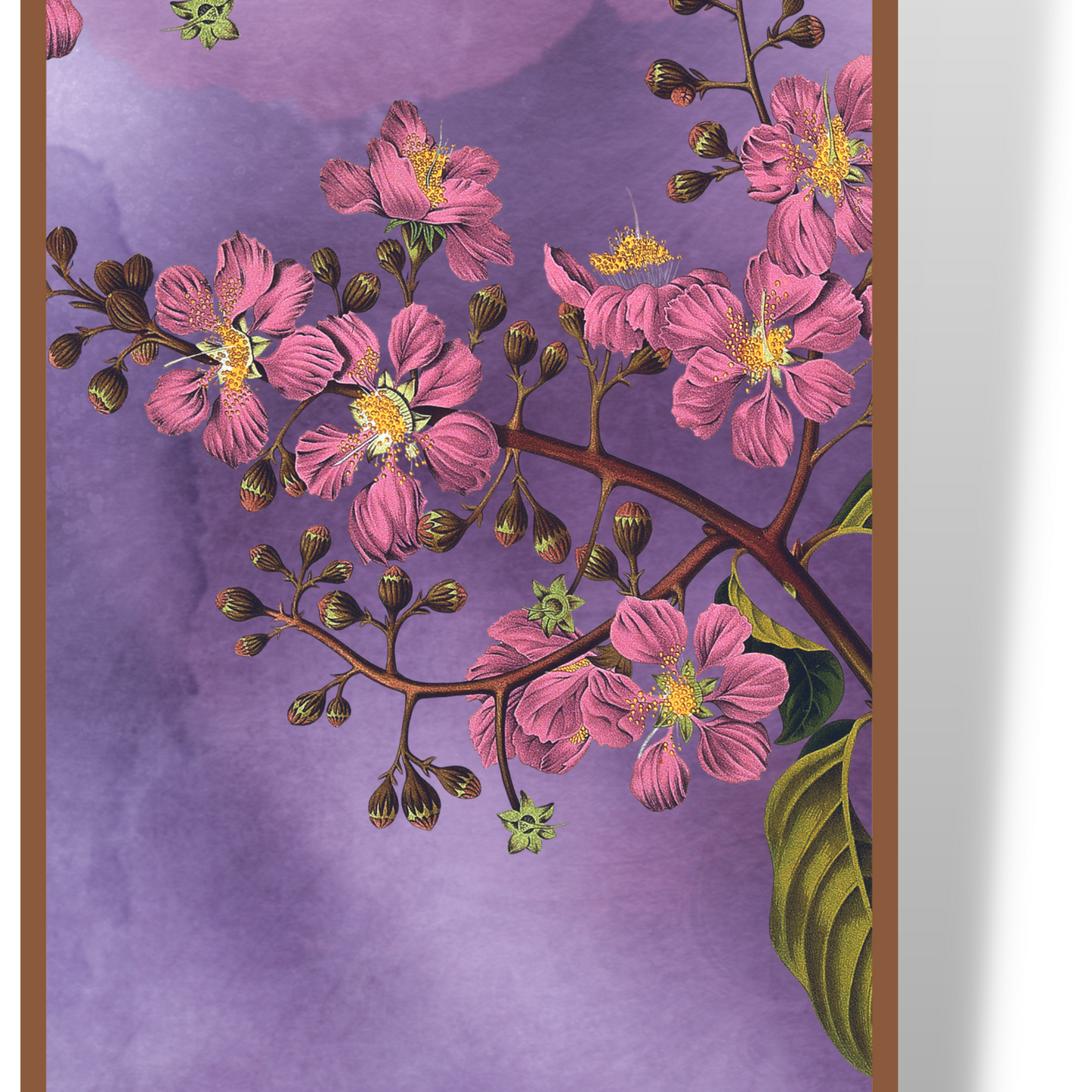 Royal Bloom Long Scarf / Stole
